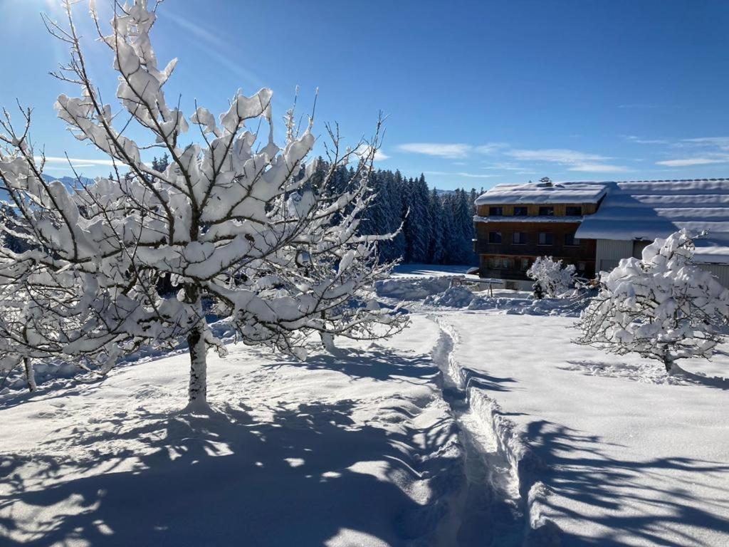 Апартаменты Stockreutehof Зульцберг Экстерьер фото