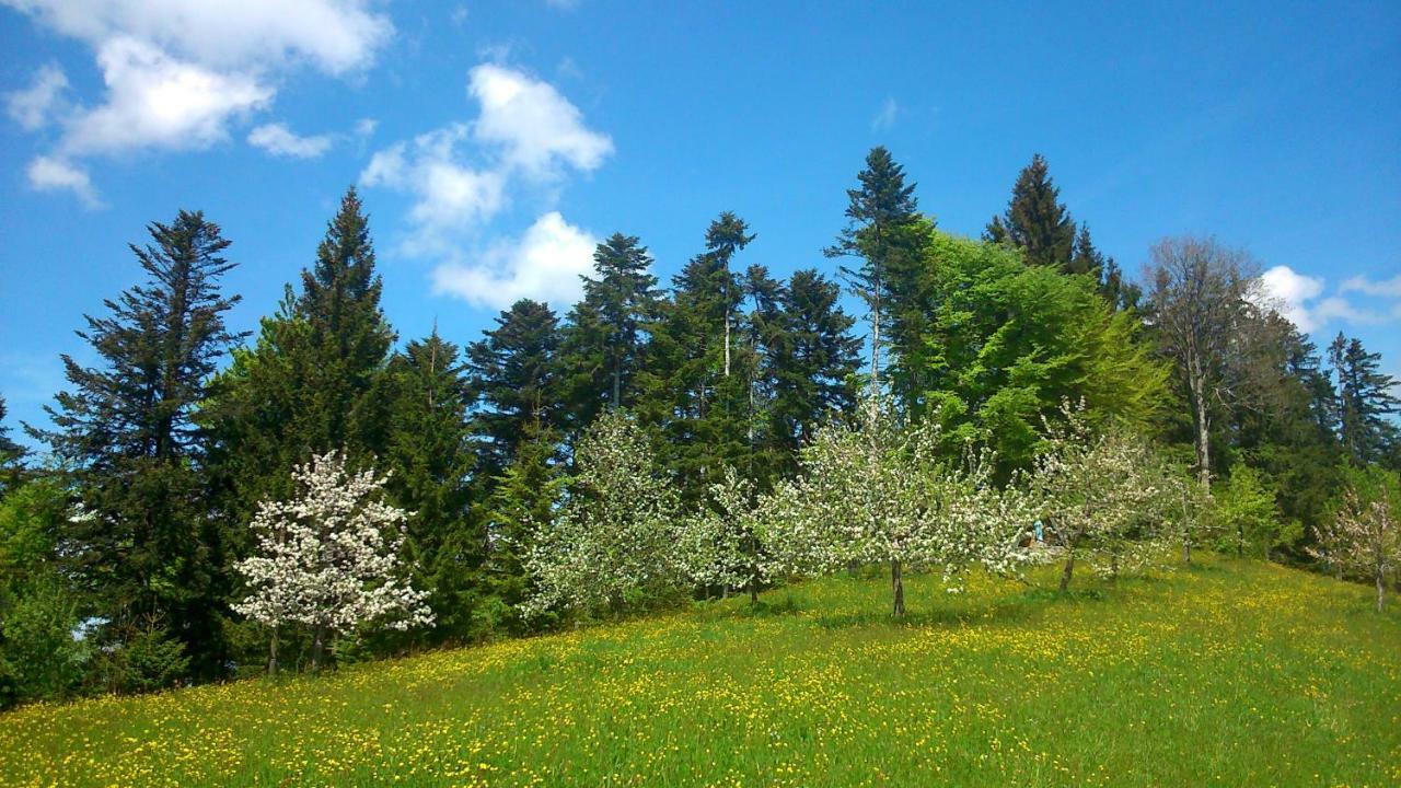 Апартаменты Stockreutehof Зульцберг Экстерьер фото